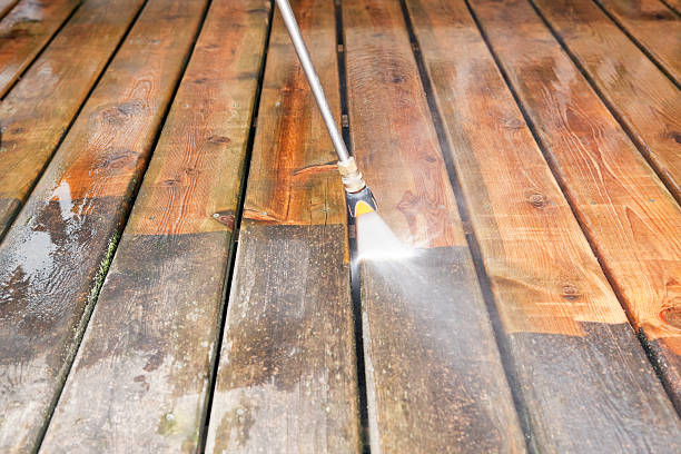 Best Gutter Cleaning  in Humboldt, TN